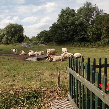 The Elms Bed & Breakfast East Harling Bagian luar foto