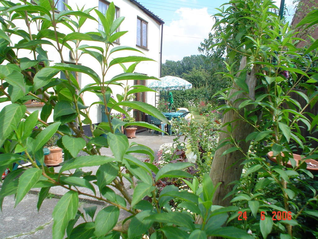 The Elms Bed & Breakfast East Harling Bagian luar foto