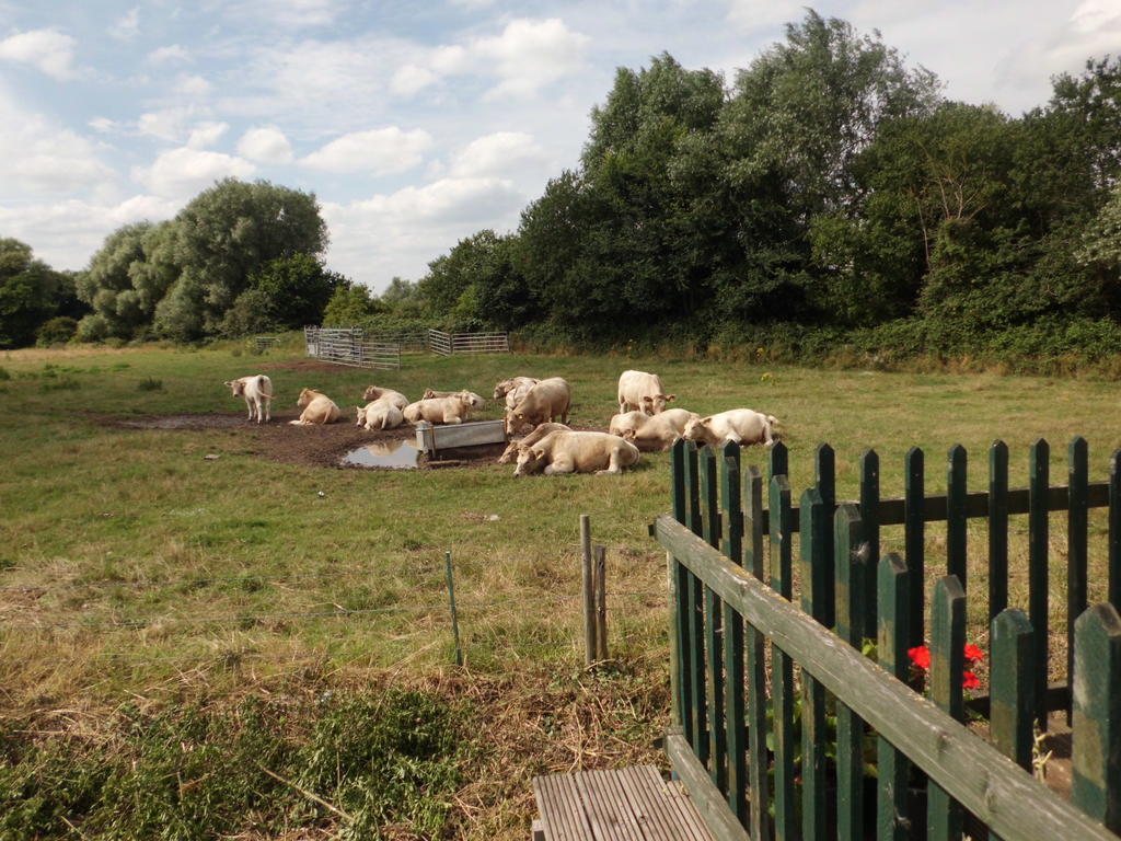 The Elms Bed & Breakfast East Harling Bagian luar foto